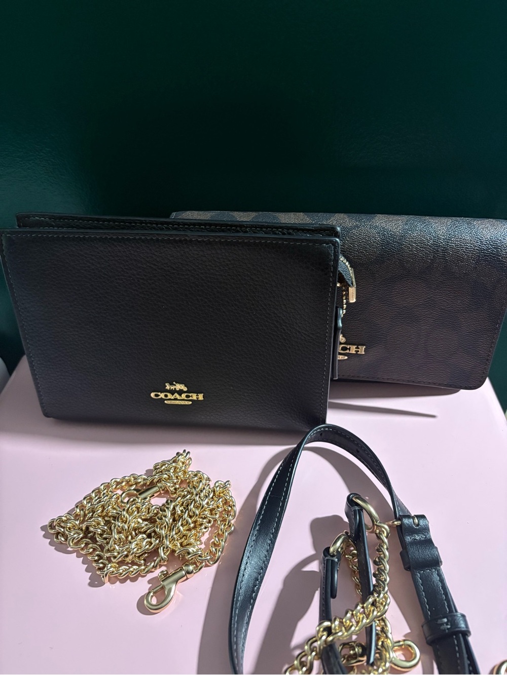 Black Leather Mini Crossbody with Gold Chain & Signature Canvas Flap Crossbody